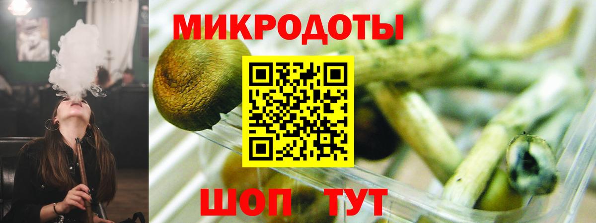 Псилоцибиновые грибы прущие грибы  Вход с VPN  Псилоцибиновые грибы мицелий  Городец 